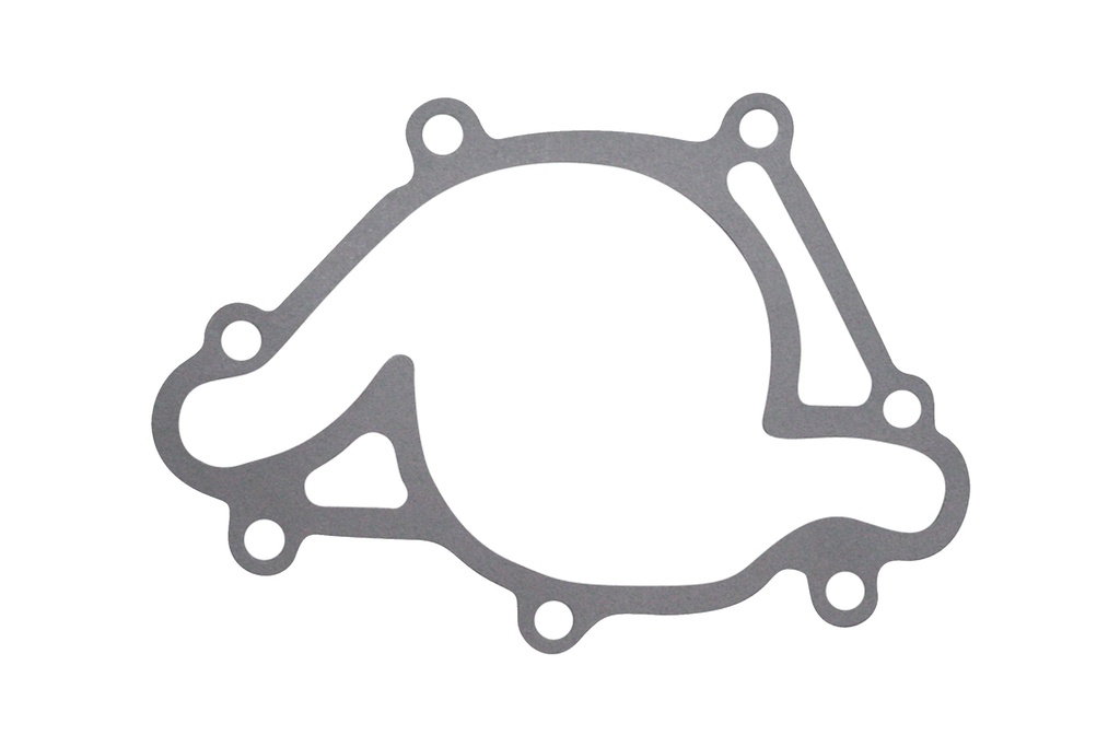 ES-009270 Junta Bomba de Agua