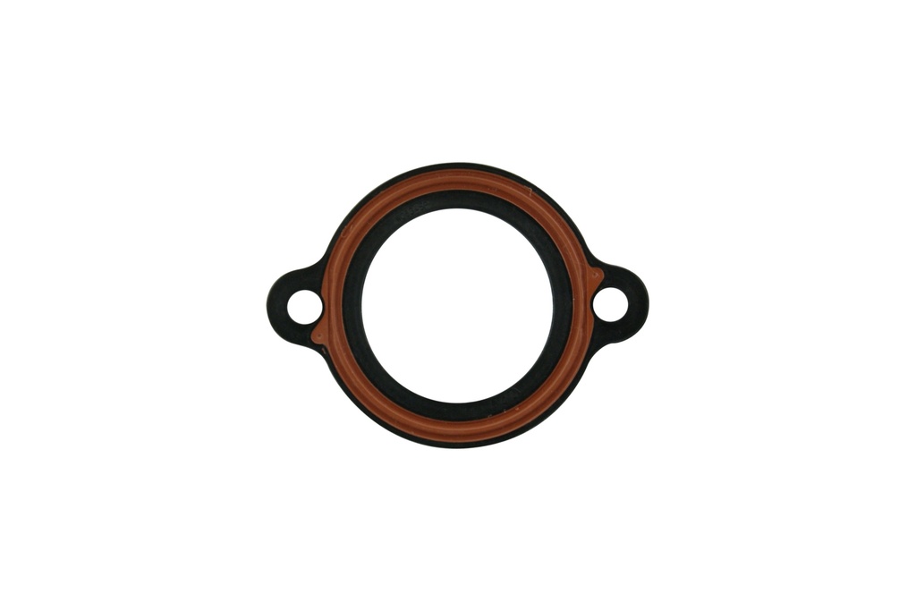 ES-009341-NS Water Pump / Junta Bomba de Agua