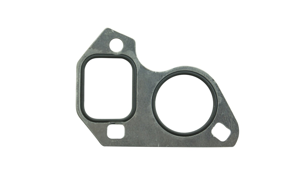 ES-009175-1 Water Pump / Junta Bomba de Agua