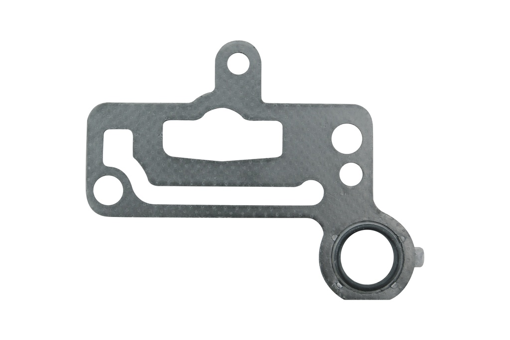 ES-009117-G Juntas de Termostato