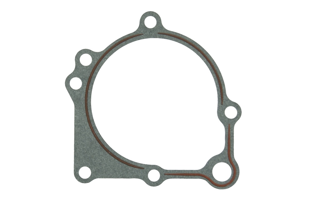 ES-009715-1 Water Pump / Junta Bomba de Agua