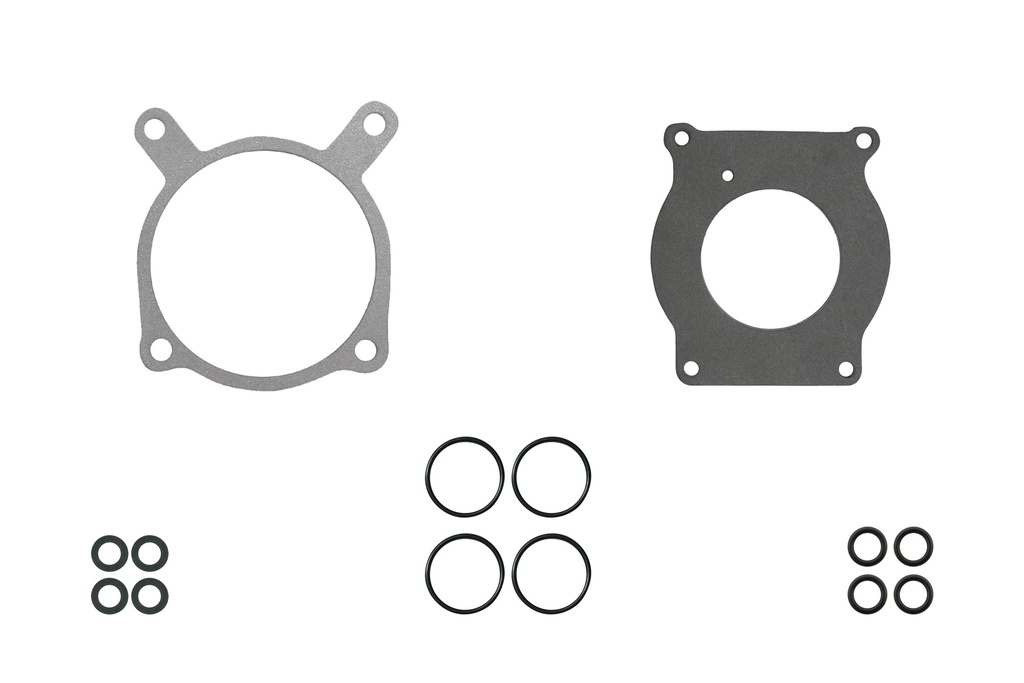 FI-021232-1 gas pump / Junta de Inyeccion de Combustible