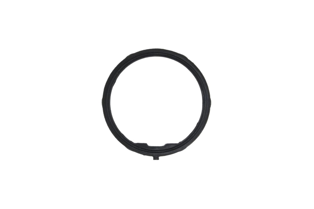 ES-009175-6 Juntas de Termostato