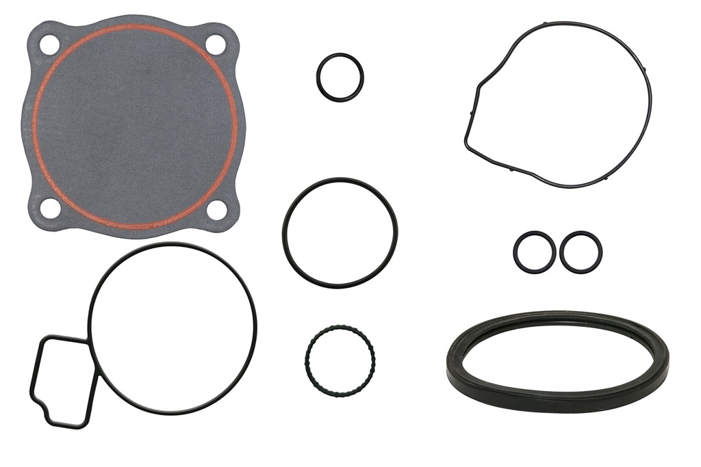 ES-009113-2 Water Pump / Junta Bomba de Agua