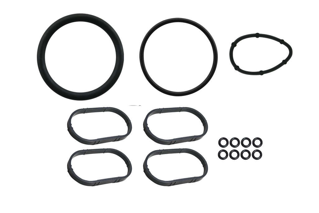 FI-021550 Junta de Inyeccion de Combustible