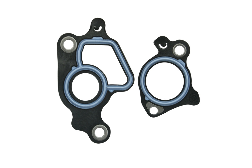 ES-009357-NS3 Water Pump / Junta Bomba de Agua