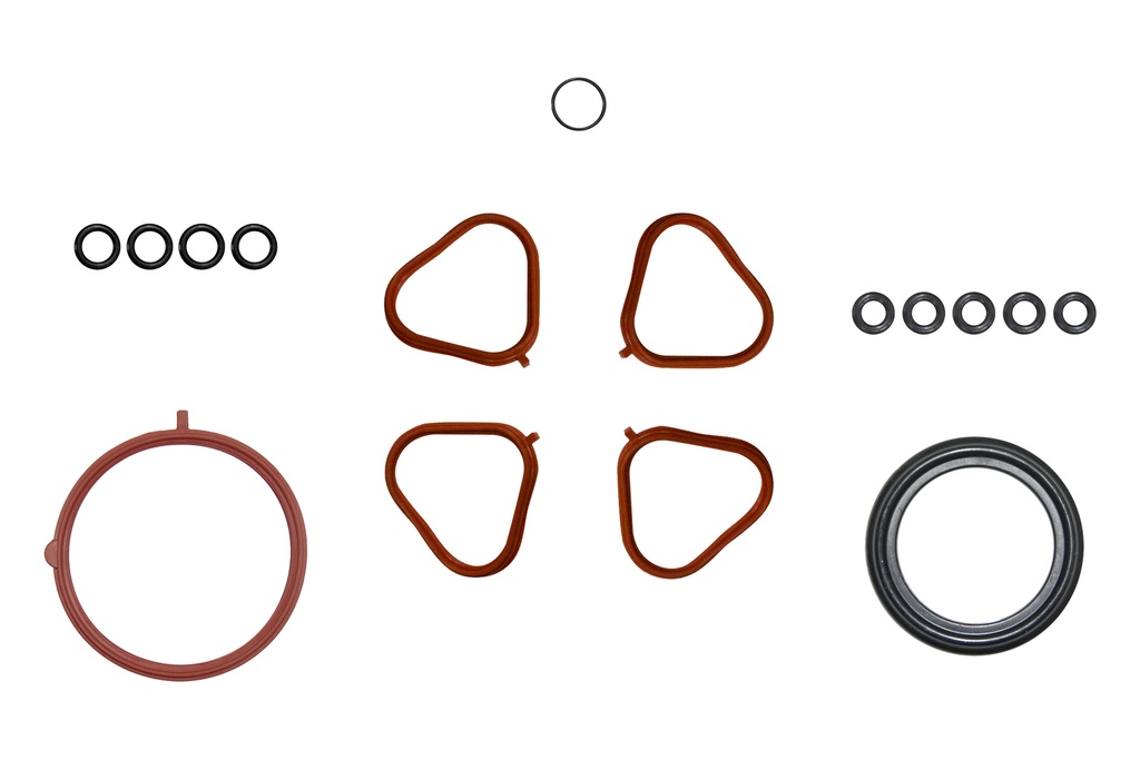FI-002102-1 Junta de Inyeccion de Combustible