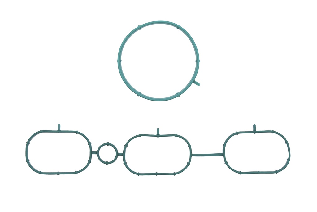 MS-000499-1 Manifold (Intake) / Multiple (Admision)