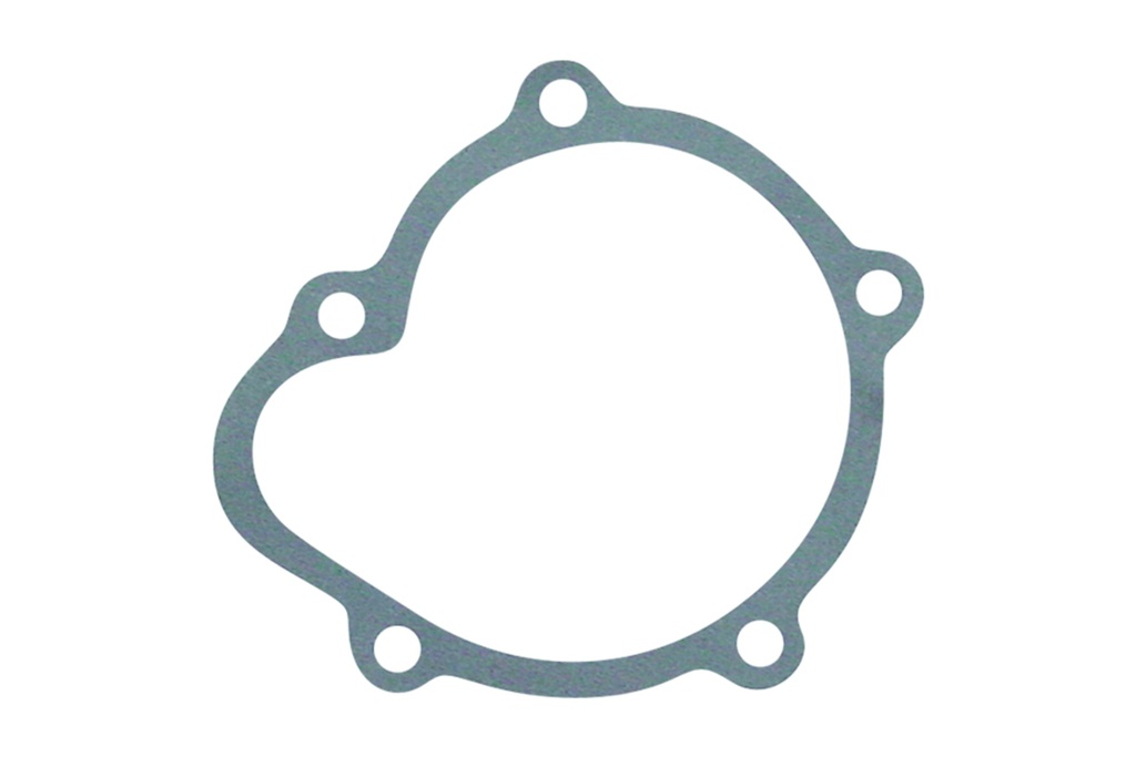 ES-091216 Junta Bomba de Agua