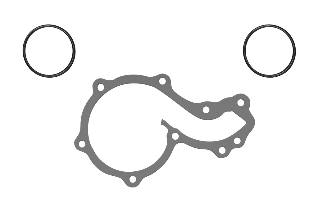 ES-091840-1 Water Pump / Junta Bomba de Agua